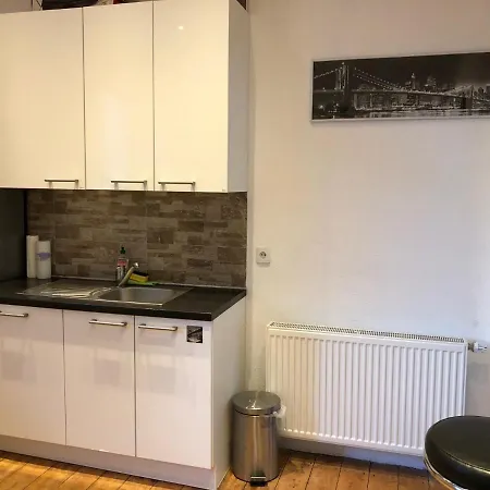 Haus Lutherbaum 4 Apartment *